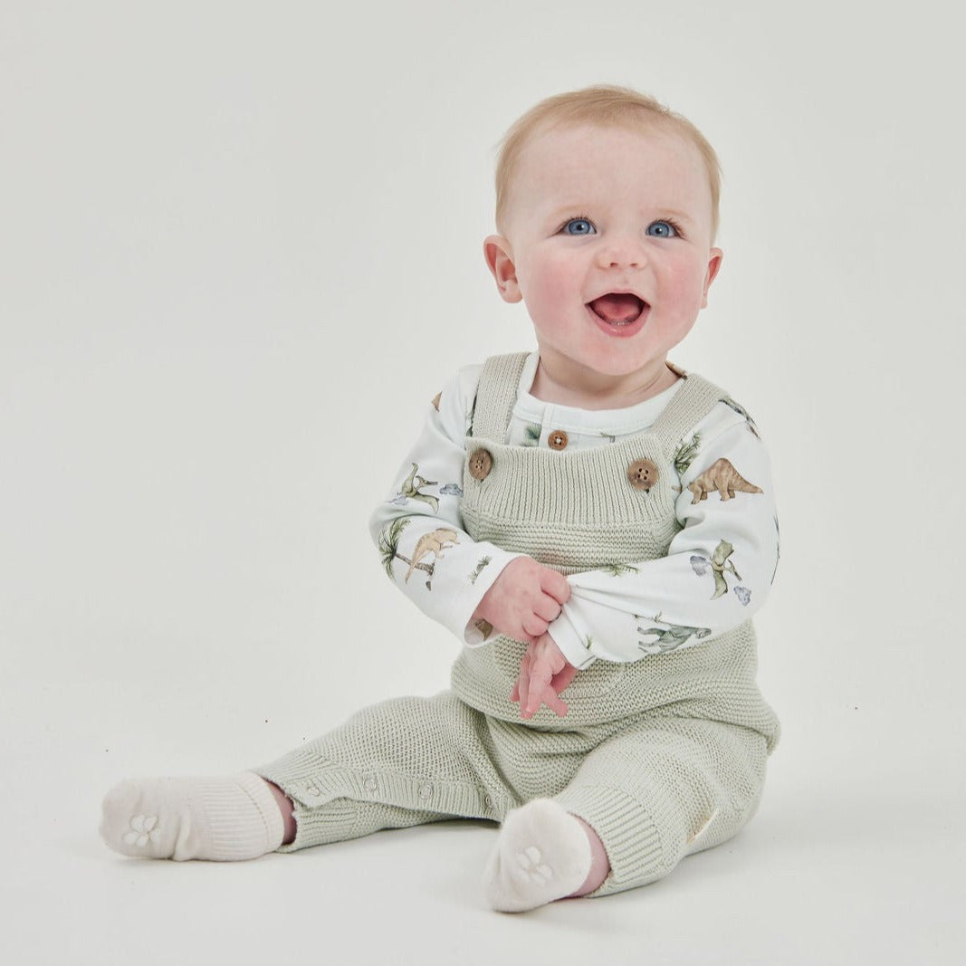 Aster & Oak | Dinosaur Henley Onesie