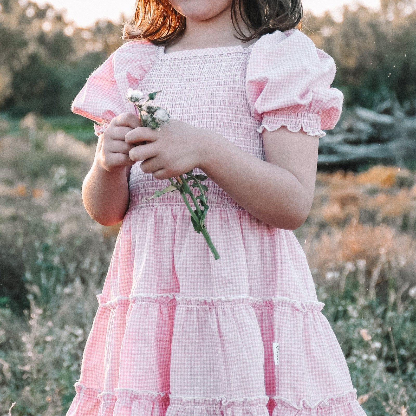 Daisy Dress - Pink Gingham