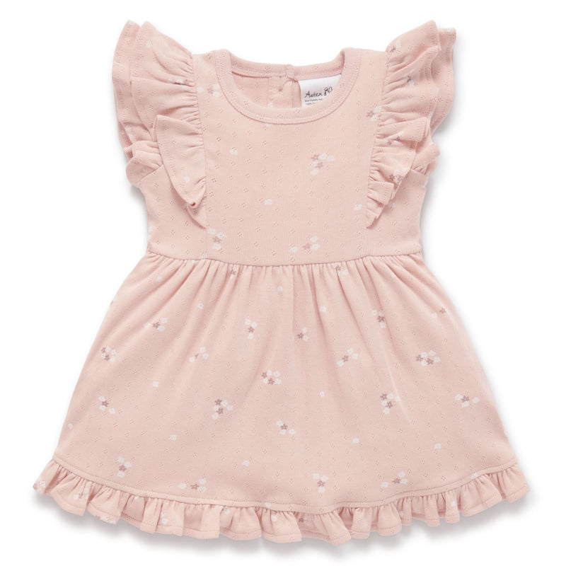 Aster & Oak | Petal Pointelle Ruffle Dress