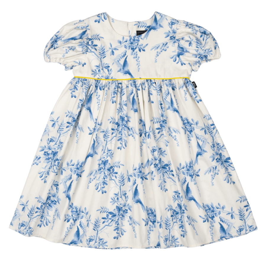 Summer Toile Dress