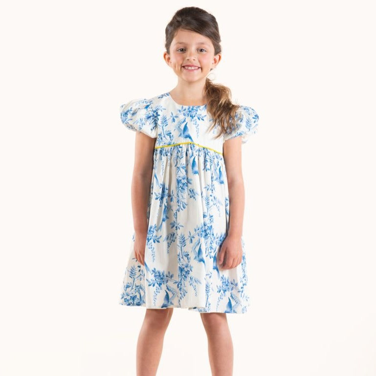 Summer Toile Dress