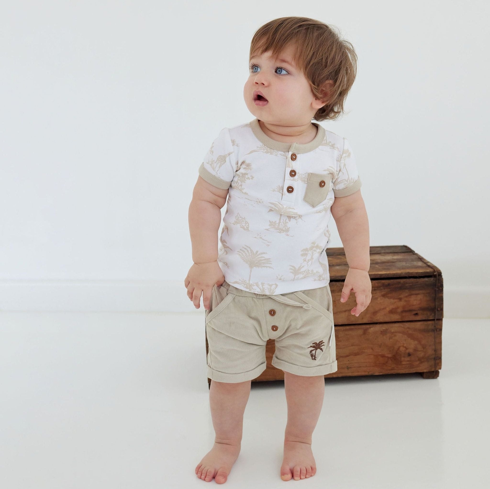 Aster & Oak | Sand Cord Shorts