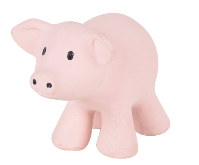 Tikiri | Pig Rattle & Bath Toy