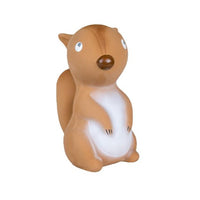 squirrel bath toy